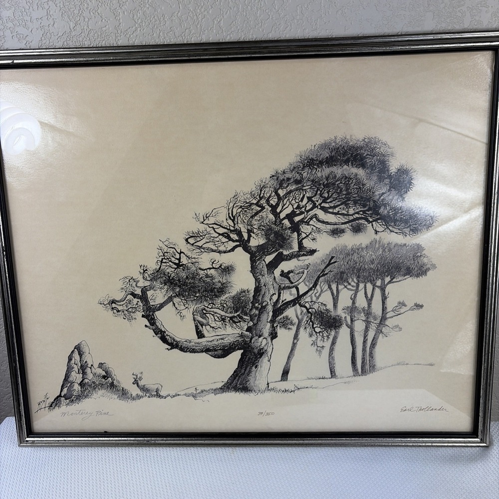 Framed Earl Thollander SIGNED and Numbered 38/350 Print Monterey Pine